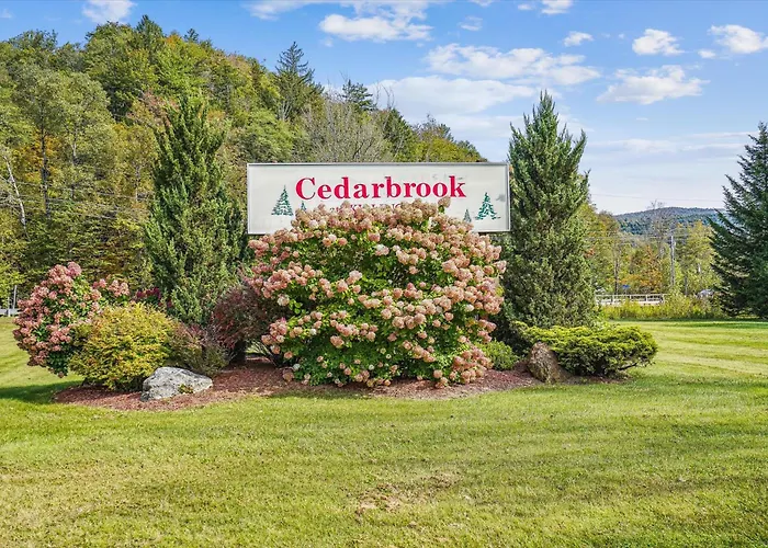 104 Cedarbrook Hotel Room